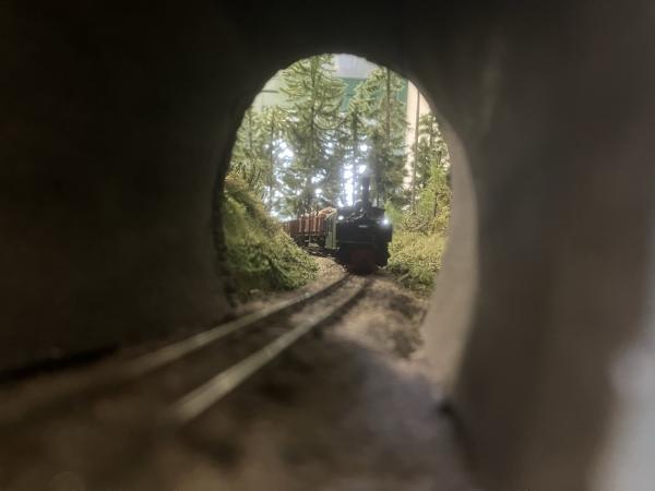 AVor018 Litschau 2025 IMG 0613